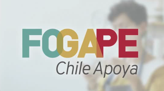 FOGAP Chile